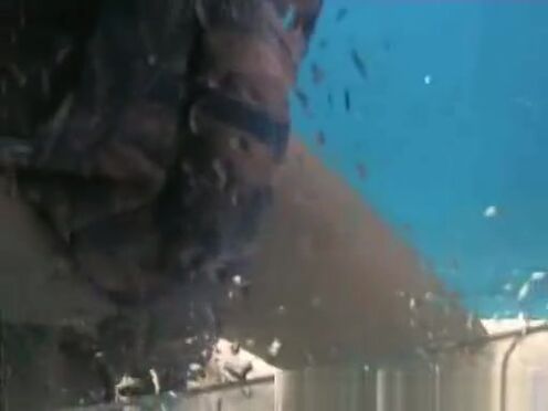 Самой романтичный секс