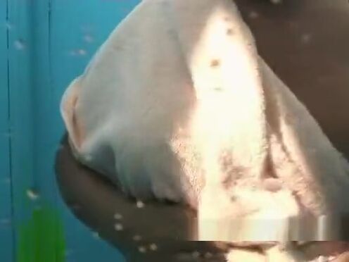 Секс порно школьница малышка и папа