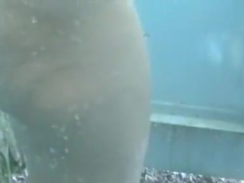 Порно онлайн ганг банг анилингус