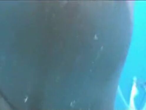 Секс порно мужчина дрочит до посинения