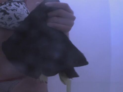 Грубый секс дорога россии путаны на дорогах