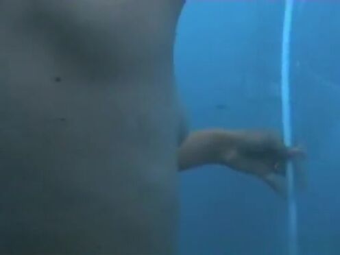 Порно подсматривает за грудастой соседкой