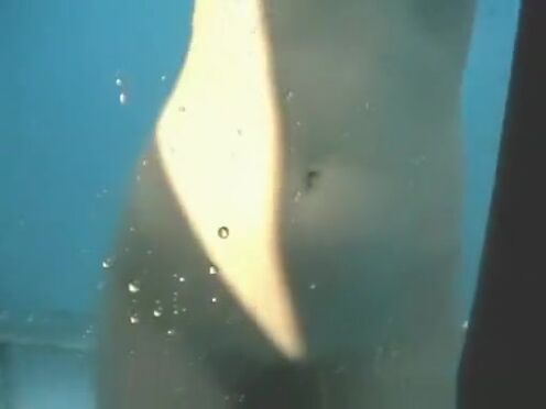 Мучик старая елена беркова голый секс видео