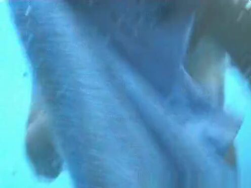 Трое трахают бабу в теле