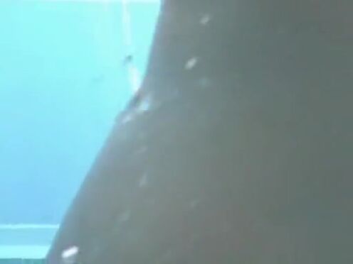 Самый свежий новый секс