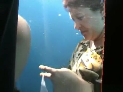 Секс чат самый сок