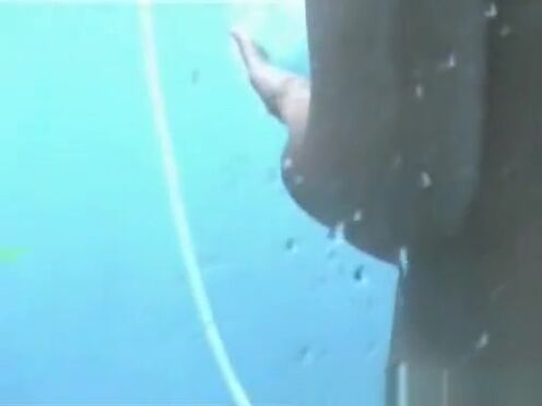 Соник и салли секс порно мультик