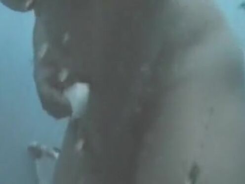 Русские сучки домашнем порно разговорами не постановочное