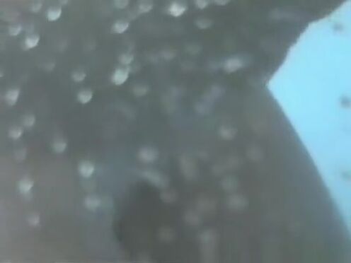 Сексуальные и симпатичные толстушки порно