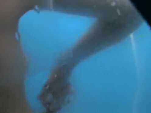 Скуби ду мистическая корпорация гей порно