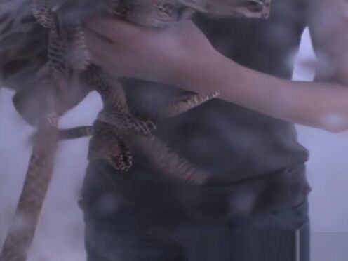 Частный секс в отеле видео новое