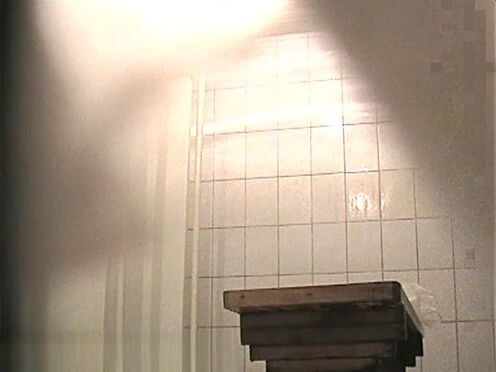 Секс в скайриме порно пародия