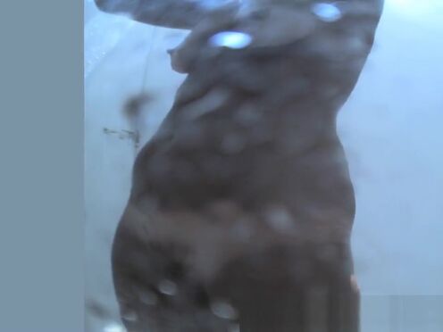 Скромную невесту трахнул стриптизер на девичнике