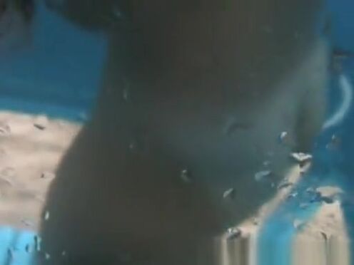 Засадил по самые яйца порно видео