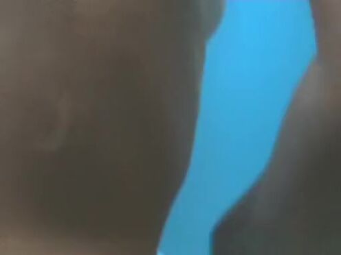 Русское порно видео в поезде с проводником