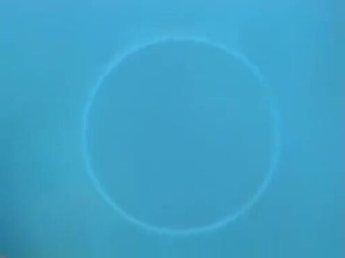 Секс фигуристых жопастых дам