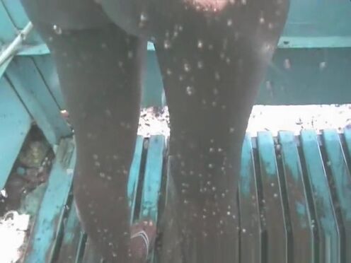 Секс лизби китайки