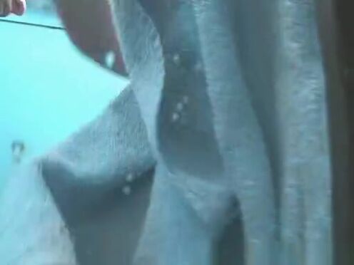 Видео спб ру порно секс кристина