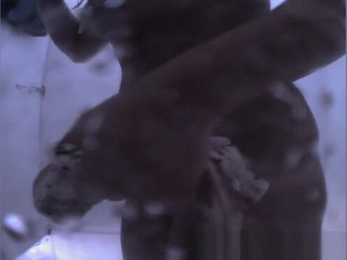 Русский секс лесбиянка ночь на постель