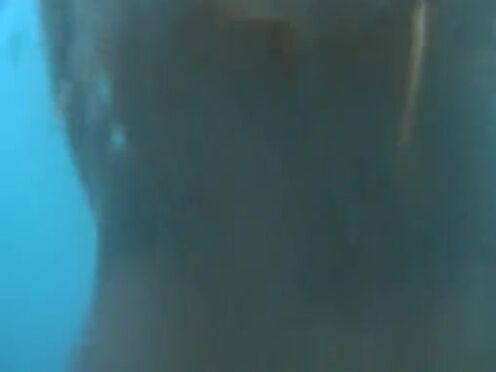 Порно сосут наперегонки у парней в общаге