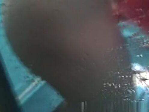 Что лучше не есть перед анальным сексом