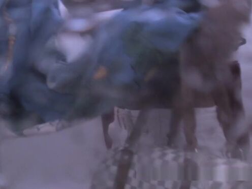 Скачать порно медсестра помогает донору сдать сперму