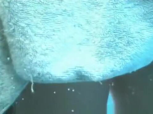 Секс видео русский девушки массажист возбуждает мужчины