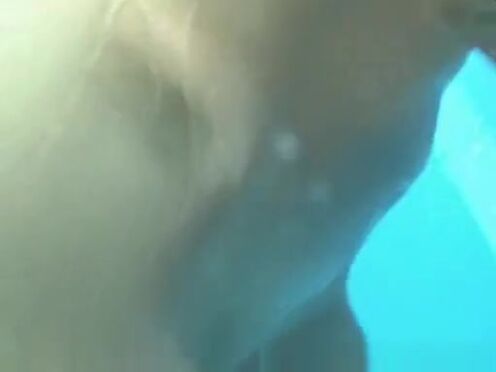 Девки чмырят пидора порно