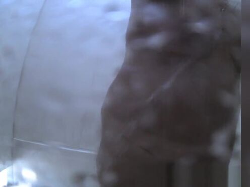 Порно видео японский брат лишает невинности сестру