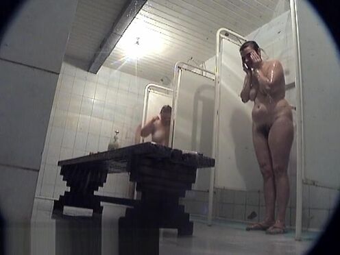 Порно сучек в сетчатых колготках