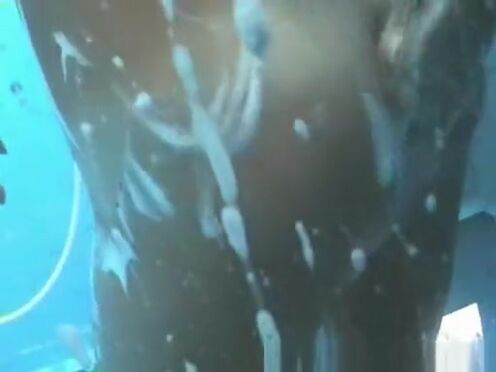 Моя геройская академия кэми уцушими секс