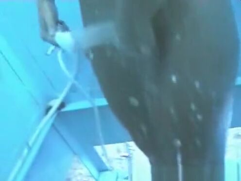 Теща зять любовь видео эротика бесплатно секс