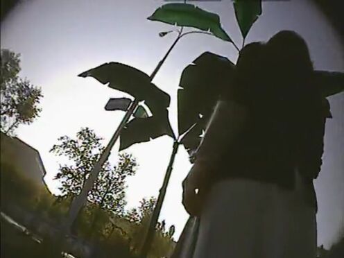 Смотреть порно стриптиз с классными телками