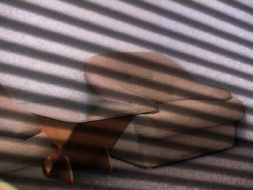 Реалити шоу дорогие женщины ночной канал