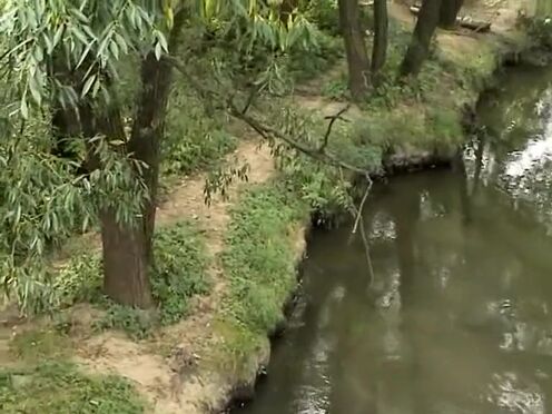 Дают заглянуть под платье порно бесплатно