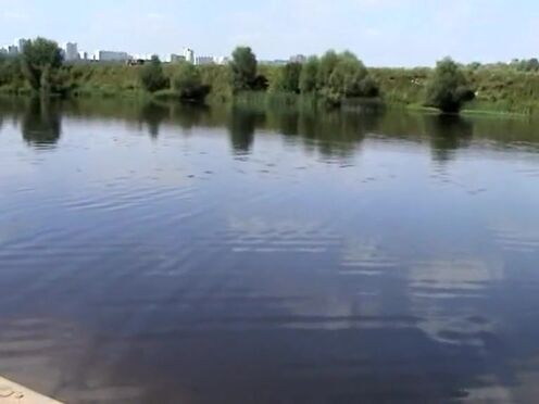 Порно ебет телку внезапно зашел другой