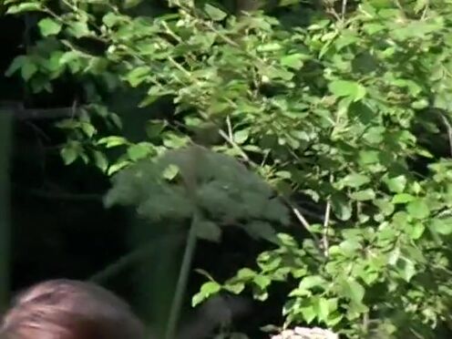 Групповое порно вовремя зашел