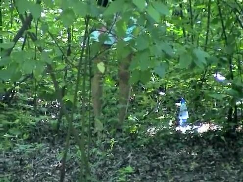 Порно секс трахнул застрявшую милашку