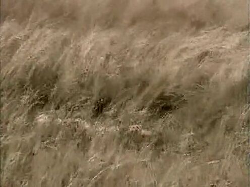 Трахнули когда застряла порно ролики