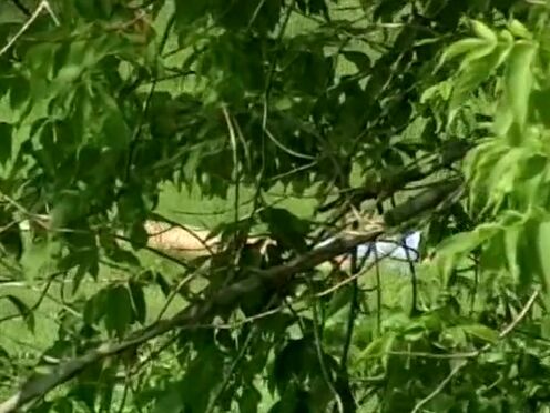 Рука застряла а сосед трахнул