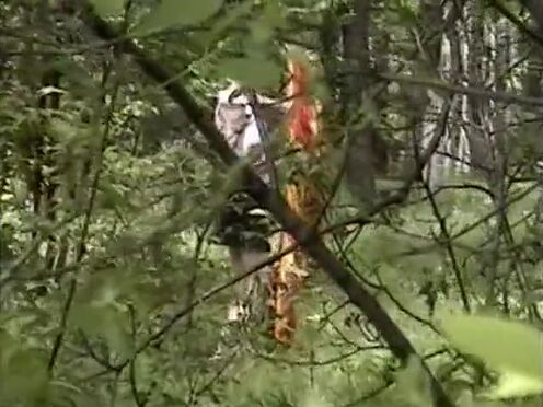 Порно сестренка застряла под столом