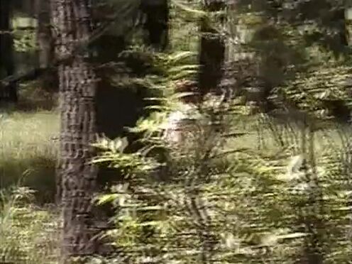 Порно мать и сестра застряла в раковине