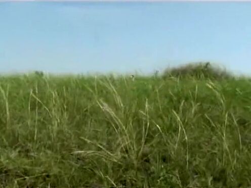 Порно комиксы инцест мама застряла в раковине