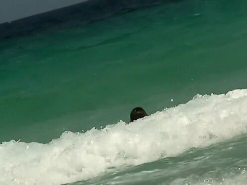 Порно пухлая грудастая мачеха ебется с пасынком