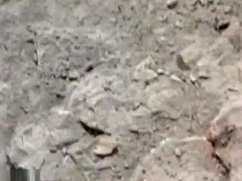 Смотреть секс отец шлепает свою дочь