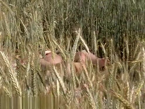 Порно видео японскую жену наказали за воровство