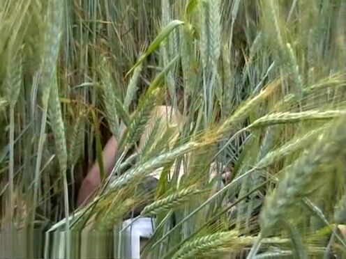 Порно видео юных нудисток онлайн