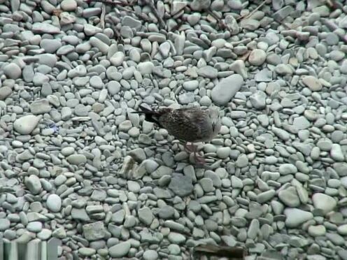 Порно девок т в сауне в ж