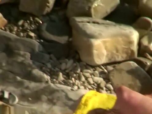 Порно жен лесбиянок соблазн в гостях