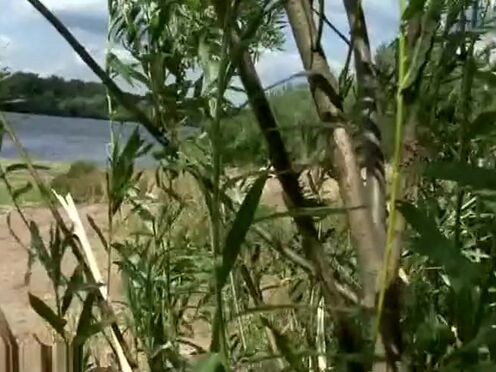 Порно ебут девушек и парней в армии